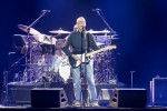 Eric Clapton, Peter Gabriel und Co,  | © laut.de (Fotograf: Rainer )