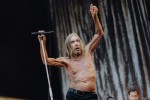 Iggy Pop,  | © laut.de (Fotograf: Rainer Keuenhof)