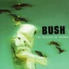 Bush - 'The Science Of Things' (Cover)