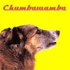 Chumbawamba - 'WYSIWYG' (Cover)