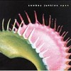 Cowboy Junkies - 'Open' (Cover)
