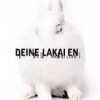 Deine Lakaien - 'White Lies' (Cover)