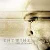 Entwine - 'Time Of Despair' (Cover)