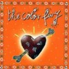 Fury In The Slaughterhouse - 'The Color Fury' (Cover)
