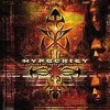Hypocrisy - '10 Years Of Chaos And Confusion' (Cover)