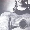 Willie Nelson - 'The Great Divide' (Cover)