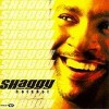 Shaggy - 'Hotshot' (Cover)