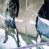 Various Artists - 'Ladomat 100' (Cover)