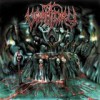 Vomitory - 'Blood Rapture' (Cover)