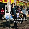 The Wallflowers - 'Breach' (Cover)