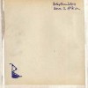 Babyshambles - 'Down In Albion' (Cover)
