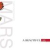 Thirty Seconds To Mars - 'A Beautiful Lie' (Cover)