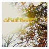 Cat Sun Flower - 'A Lie Called Summer' (Cover)