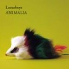 Lotterboys - 'Animalia' (Cover)