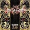 Die Apokalyptischen Reiter - 'Riders On The Storm' (Cover)