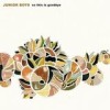 Junior Boys - 'So This Is Goodbye' (Cover)