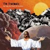 The Thermals - 'The Body The Blood The Machine' (Cover)