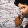 Prince - 'Musicology' (Cover)