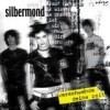 Silbermond - 'Verschwende Deine Zeit' (Cover)