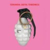 Terranova - 'Digital Tenderness' (Cover)
