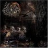 Bloodbath - 'Nightmares Made Flesh' (Cover)