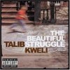 Talib Kweli - 'The Beautiful Struggle' (Cover)