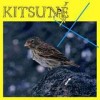 Various Artists - 'Kitsune X' (Cover)