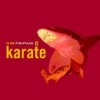 Karate - 'In The Fishtank 12' (Cover)