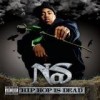 Nas - 'Hip Hop Is Dead' (Cover)