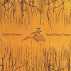 Robert Gomez - 'Brand New Towns' (Cover)