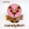 Gruff Rhys - 'Candylion' (Cover)