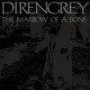 Dir En Grey - 'The Marrow Of A Bone' (Cover)