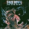 Face Down Hero - 'Opinion Converter' (Cover)