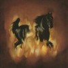 The Besnard Lakes - 'The Besnard Lakes Are The Dark Horse' (Cover)