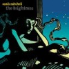 Anais Mitchell - 'The Brightness' (Cover)