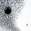 Wilco - 'Sky Blue Sky' (Cover)