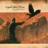 Crippled Black Phoenix - 'A Love Of Shared Disasters' (Cover)