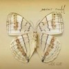 Xavier Rudd - 'White Moth' (Cover)