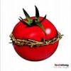 Bonebag - 'Noli Me Tangere' (Cover)