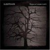 I Like Trains - 'Elegies To Lessons Learnt' (Cover)