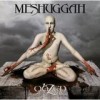 Meshuggah - 'ObZen' (Cover)