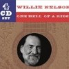 Willie Nelson - 'One Hell Of A Ride' (Cover)