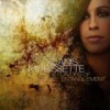 Alanis Morissette - 'Flavors Of Entanglement' (Cover)