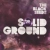 The Black Seeds - 'Solid Ground' (Cover)