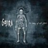 Gojira - 'The Way Of All Flesh' (Cover)