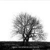 Mr. David Viner - 'Among The Rumours And The Rye' (Cover)