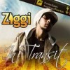 Ziggi - 'In Transit' (Cover)
