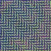 Animal Collective - 'Merriweather Post Pavilion' (Cover)