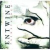 Entwine - 'Painstained' (Cover)