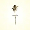 Patrick Watson And The Wooden Arms - 'Wooden Arms' (Cover)